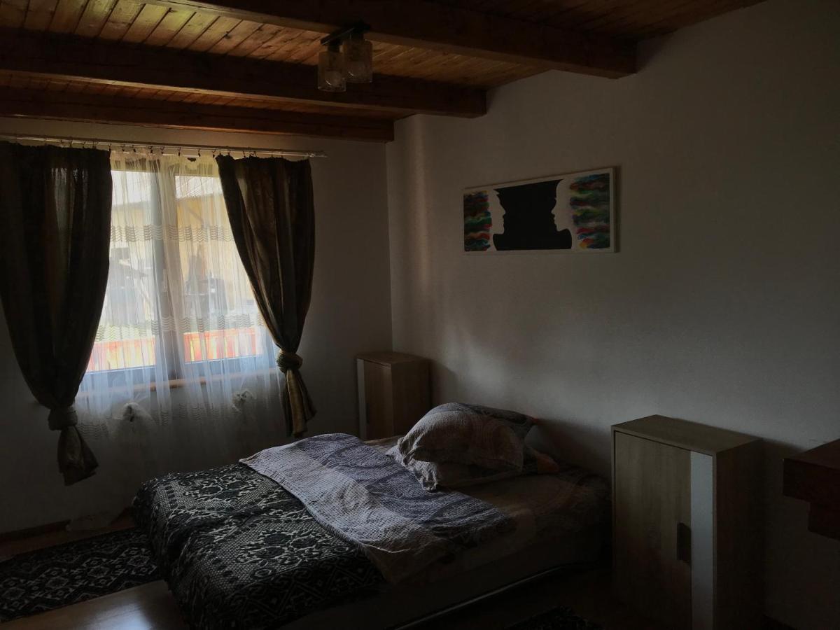 Villa Casuta Din Munti Sadová Exterior foto
